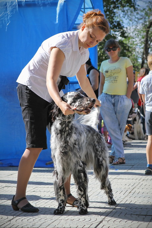 Тарантина Блю Перл