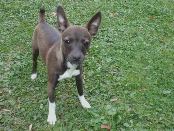 Qm'S sable sadie @chk