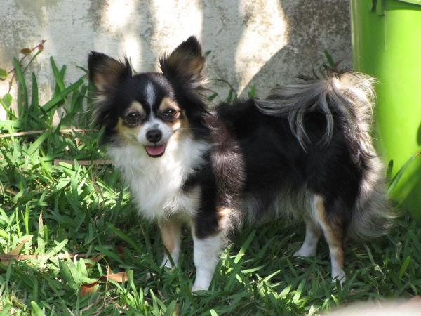 Frida (Gonzalez)