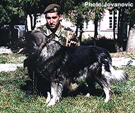 Lej jr sp 70978 so