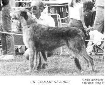 Gemmah of Bokra