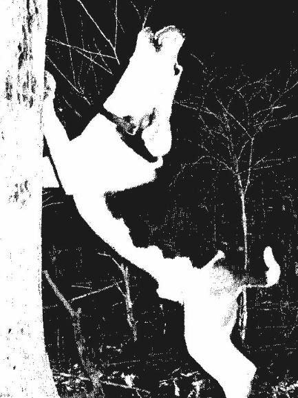 Monroe's Finley River Joe