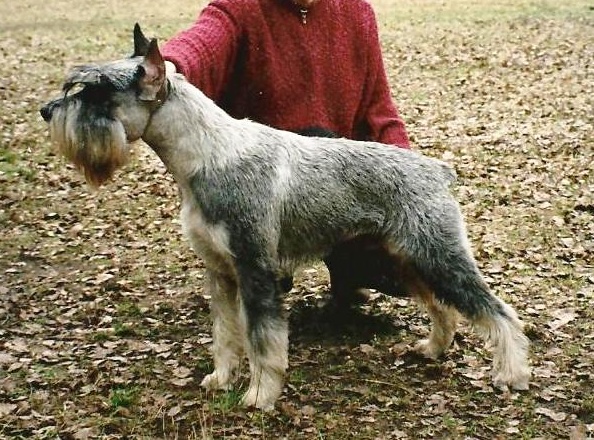 Diskant Peiran