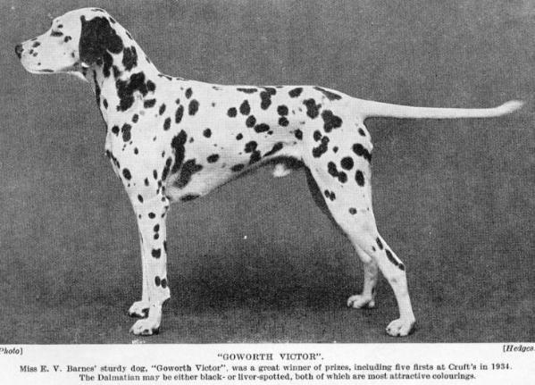 Goworth Victor