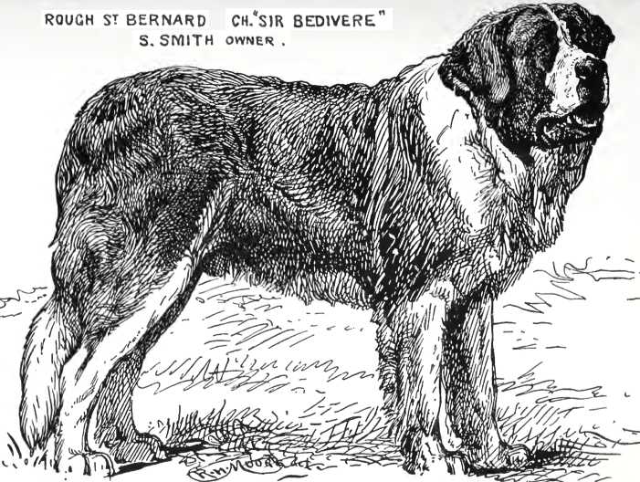 Sir Bedivere [S. Smith's]