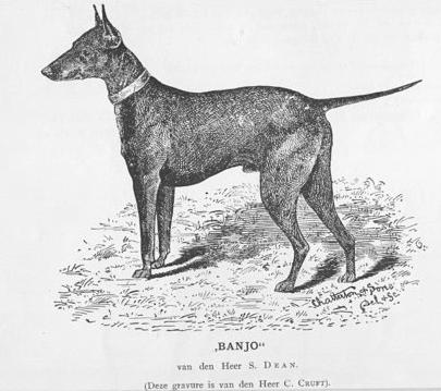 Banjo van den Heer (c.1900) [S. Dean]