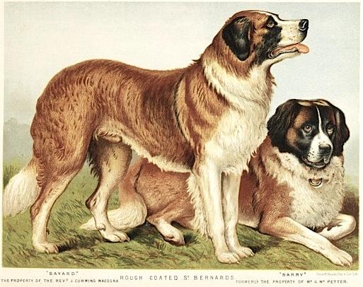 Barry (c.1881) [Mr. G.W. Petter]