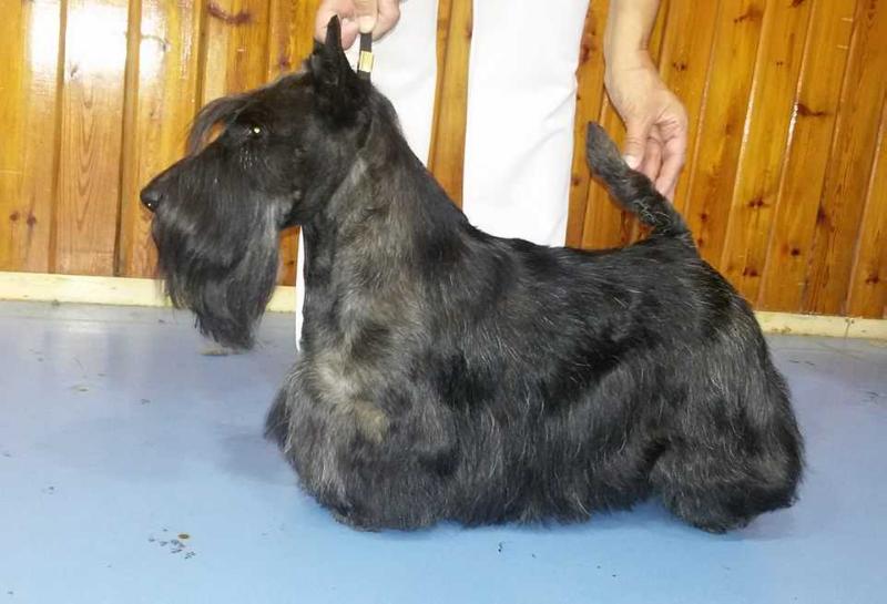 Slievecroob Fergus