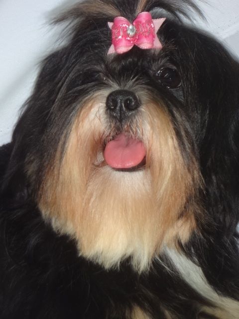 Monica Lhasa Mares de Mel