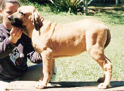 Nala do Baicuara
