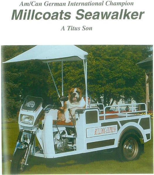 Millcoats SeaWalker