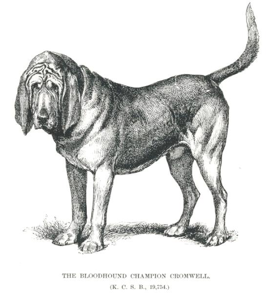 Cromwell (1884) KCSB 19754