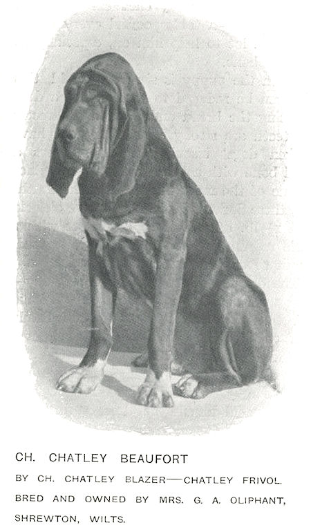 Chatley Beaufort