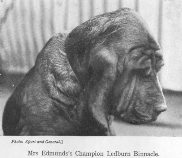 Ledburn Binnacle