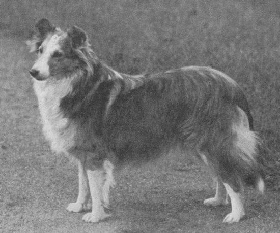 Peaceful (1935)