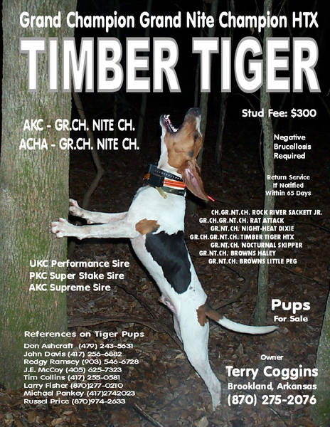Timber Tiger HTX