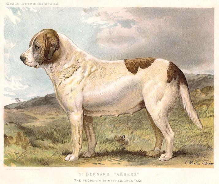 Abbess (c.1881) UK 2403