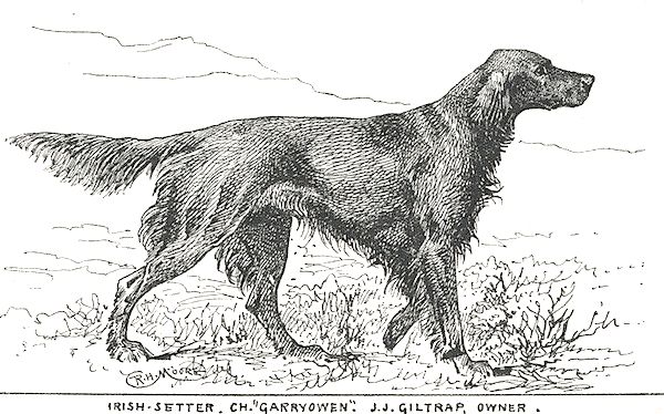 Garryowen (c.1900) [J.J. Giltrap's]