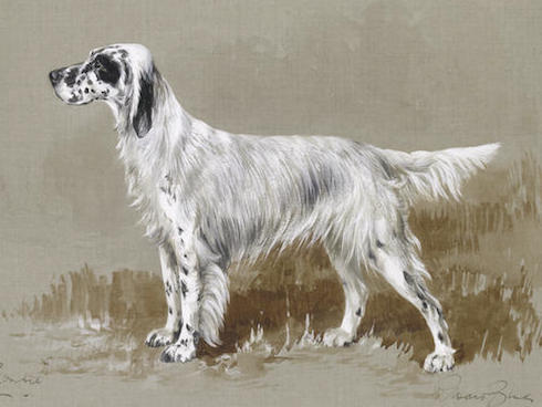 Jenny of Crombie