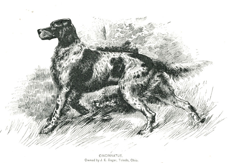 Cincinnatus (1886)