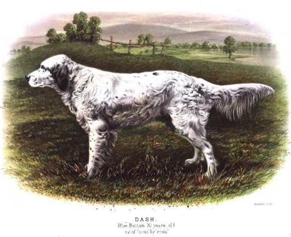Dash 2nd (18??) 1341 (Old Blue Dash) (Pinkerton's)