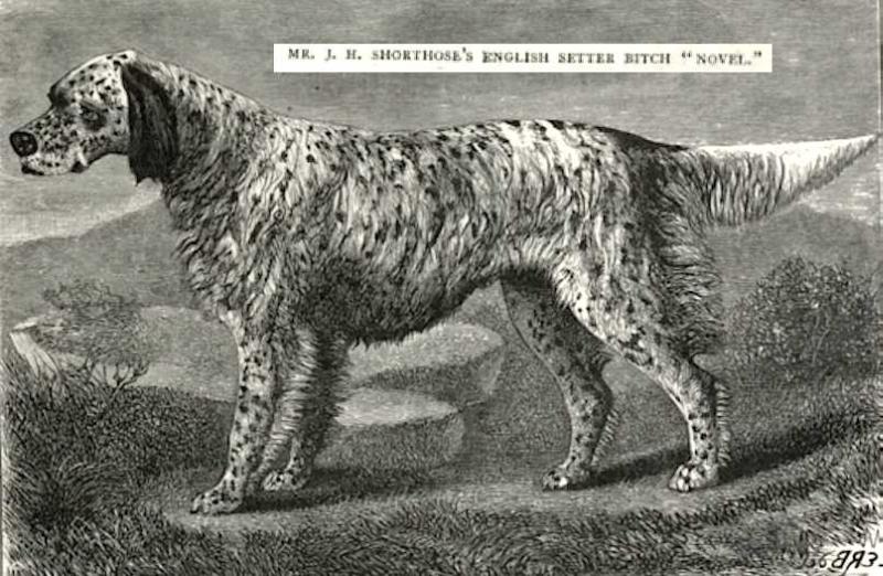 Novel (1877) KCSB 009153