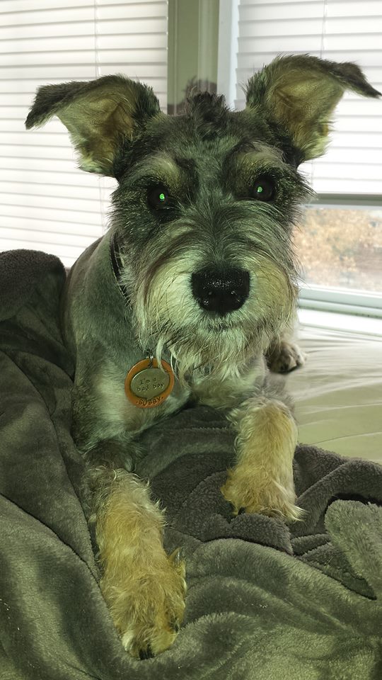 Bubby Suddarth