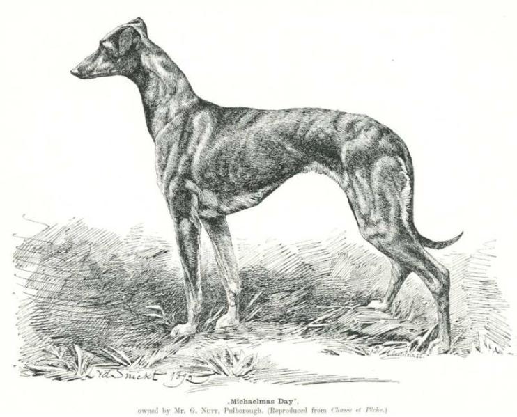 Michaelmas Day (c.1904) [Mr. G. Nutt, Pulborough]