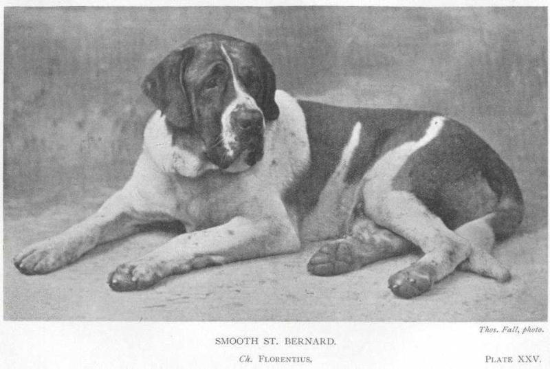 Florentius