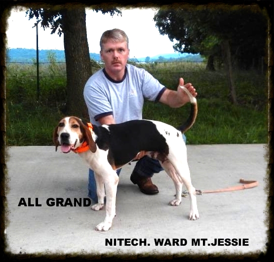Ward Mt. Jessie