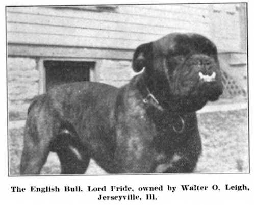 Lord Pride [Walter O. Leigh's]