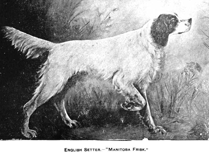 Manitoba Frisk (1920s)
