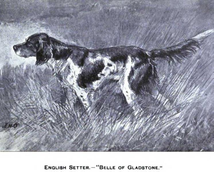 Belle of Gladstone