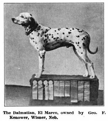 El Marco [Geo. F Konower's]