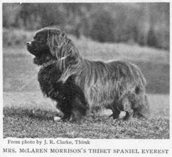 Everest [Mrs. McLaren Morrison's]