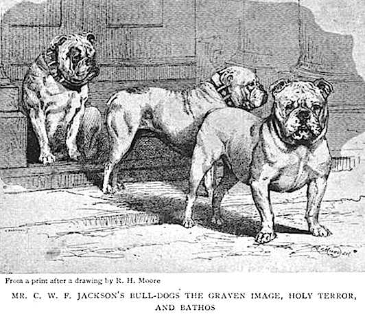 Holy Terror (Mr. C.W.F. Jackson's)