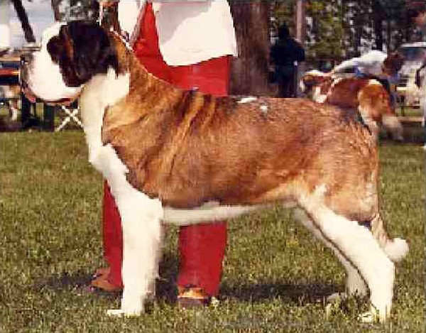 Opdyke's Rascal