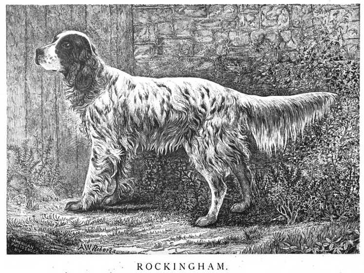 Rockingham (1882) KCSB 013697 (Winder)