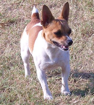 Aspen's Ellie Mae