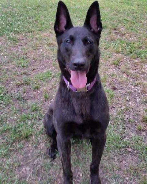 Zoey