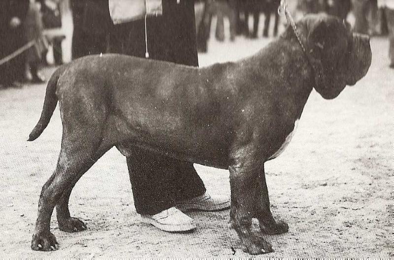 Geronimo dei Novesoldi