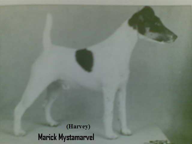 Marick Mystamarvel