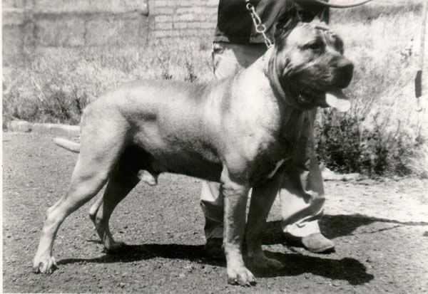 Vargas de Casa Pancho