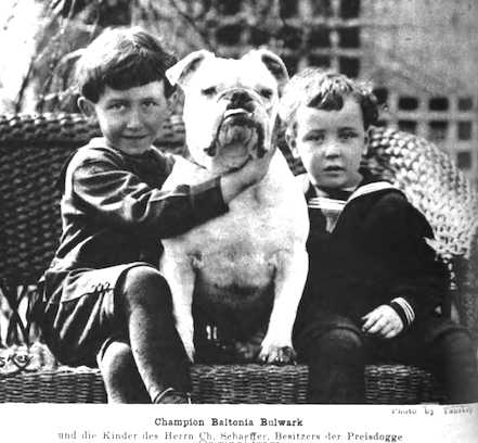 Baltonia Bulwak (c.1922)