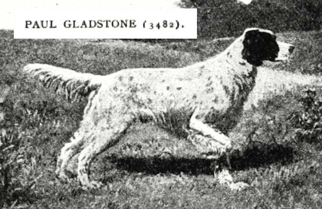 Paul Gladstone (003482)