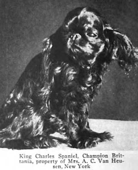 Brittania (Mrs. A.C. Van Heusen's, New York)