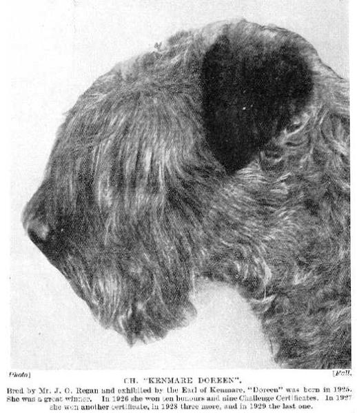 Kenmare Doreen (1925)