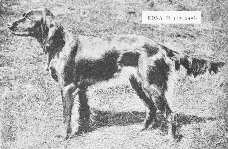Edna H (017340)
