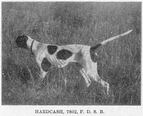 Hard Cash (1903)