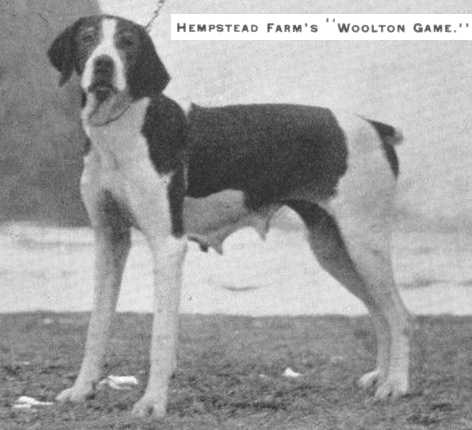 Woolton Game